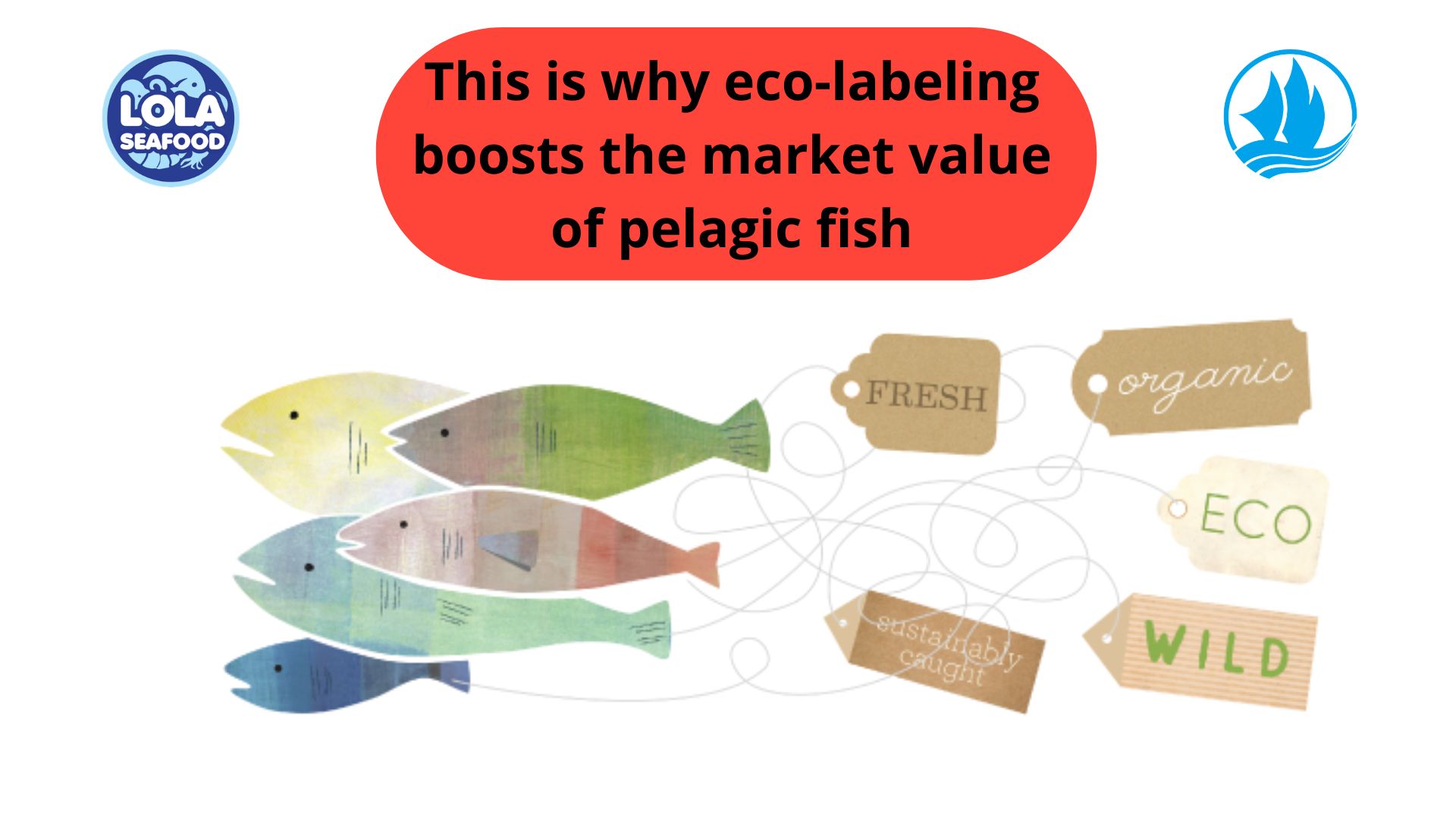 This is why eco-labeling boosts the market value of pelagic fish